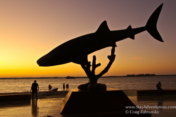 whale shark sculpture on the malecon in la paz, baja california sur, mexico